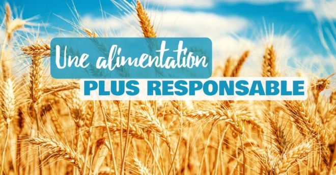 Une alimentation plus responsable au quotidien