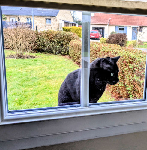 pose fenetre dans le neuf