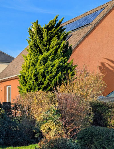 Les panneaux solaires restents efficaces malgr� la grisaille de l'ile de France