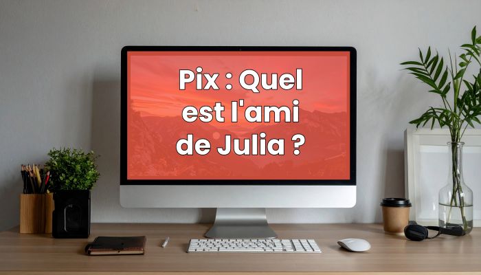 Pix savoir qui veut devenir ami de julia